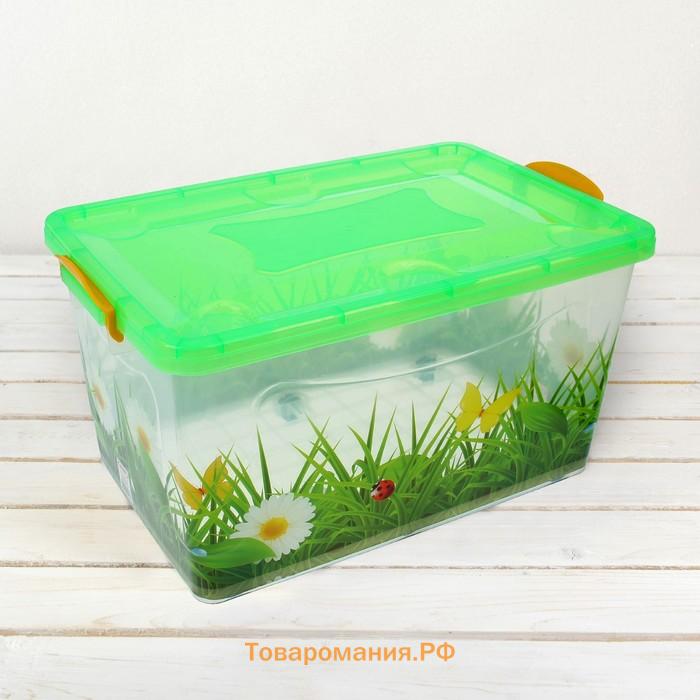 Контейнер для хранения с крышкой «Hide box. Трава», 50 л, 60×38×31 см, на колёсиках, МИКС