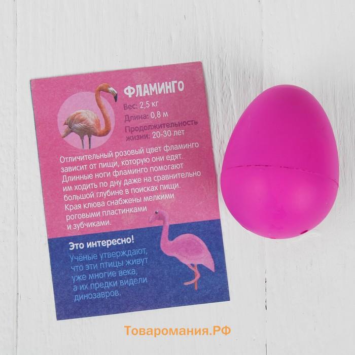 Растущие животные в яйце «Фламинго»