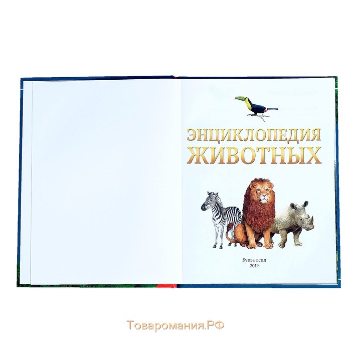 Детская энциклопедия в твёрдом переплёте «Животные», 48 стр.