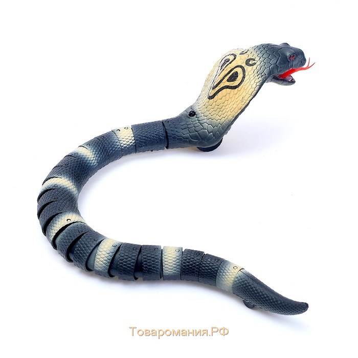 Змея радиоуправляемая «Королевская кобра», работает от аккумулятора