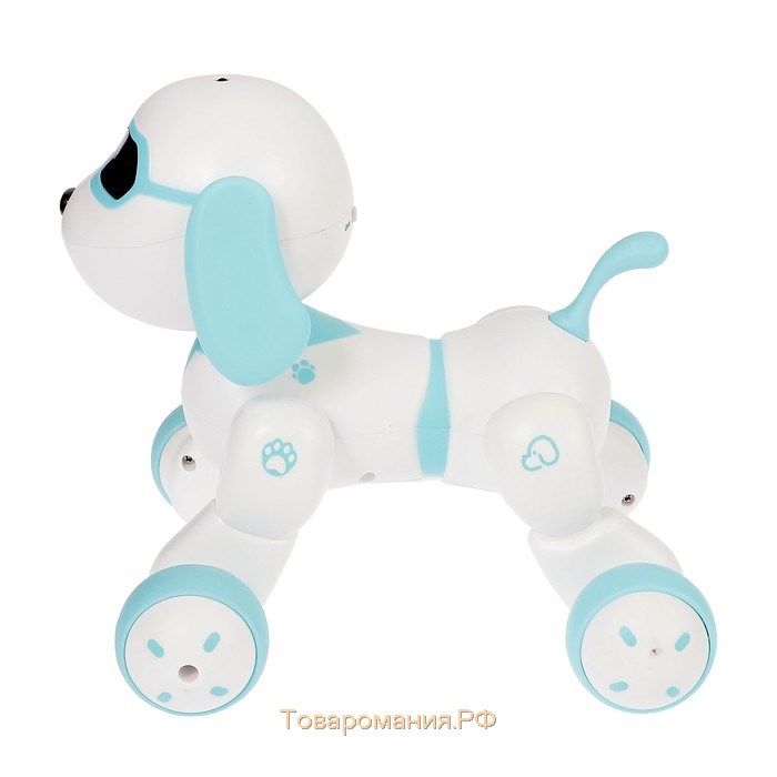 Робот собака Charlie IQ BOT, на пульте управления, интерактивный: звук, свет, танцующий, музыкальный, на батарейках, на русском языке, бело-голубой
