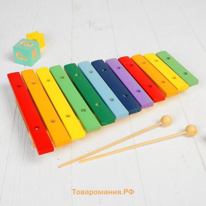 Музыкальная игрушка «Ксилофон», 12 тонов, 2 палочки