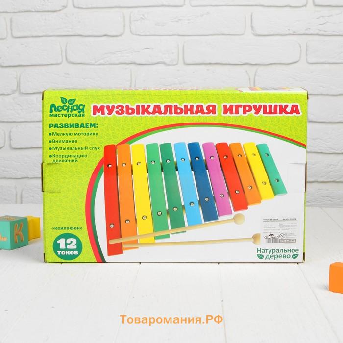 Музыкальная игрушка «Ксилофон», 12 тонов, 2 палочки