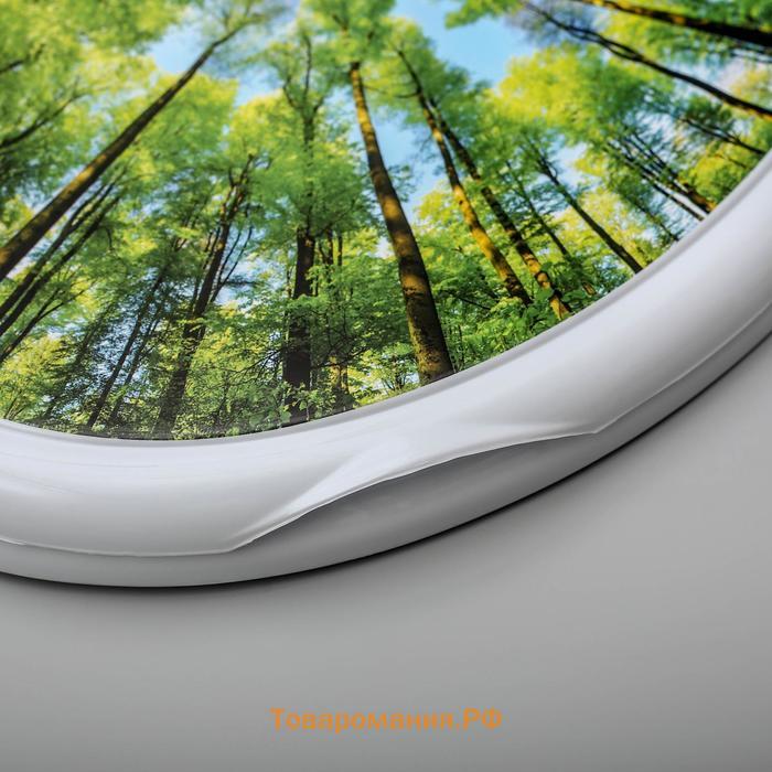 Сиденье с крышкой для унитаза Росспласт «Декор. Лес», 44.5 х 37.5 см, цвет белый