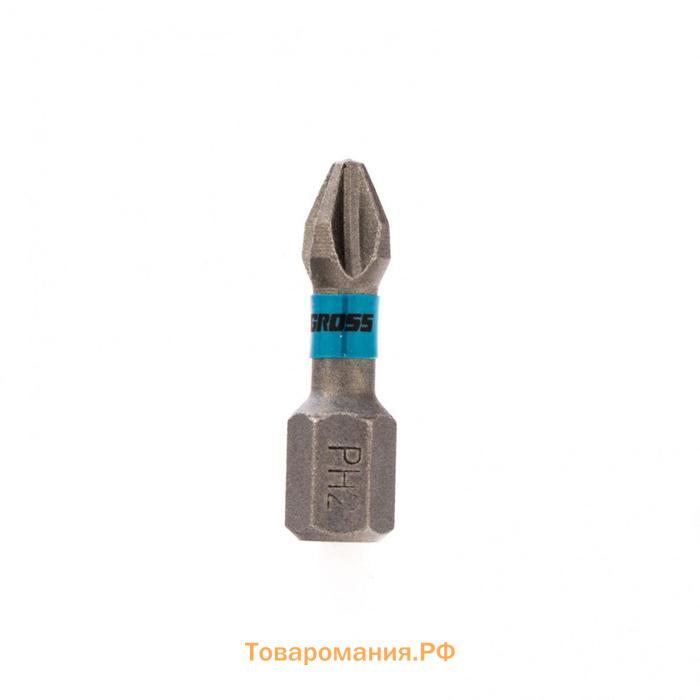 Набор бит торсионных Gross 11482, сталь S2, PH2x25 мм, 1/4", 10 шт