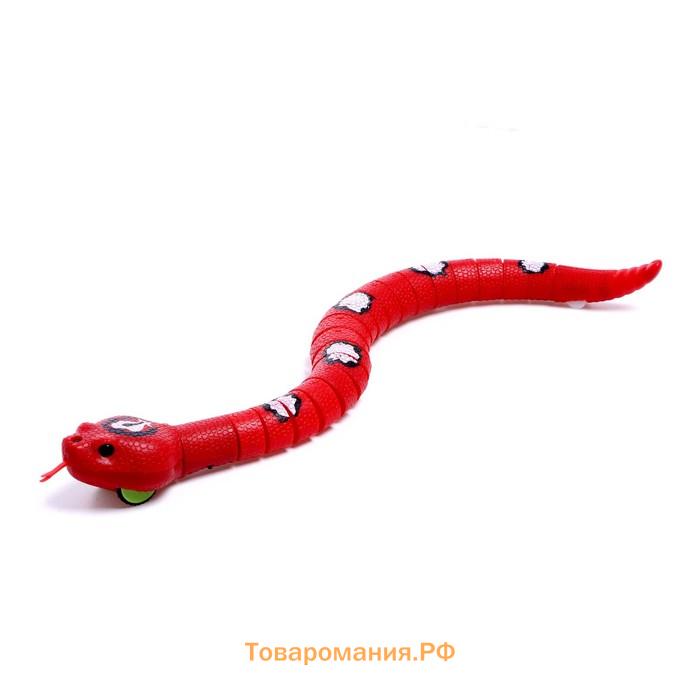 Змея радиоуправляемая «Джунгли», работает от аккумулятора, цвет красный
