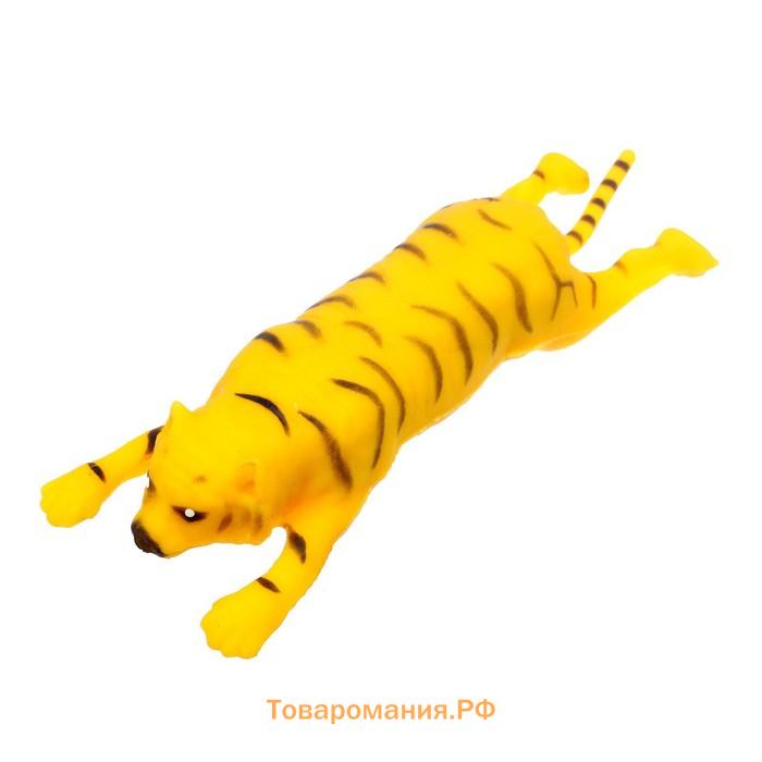 Мялка антистресс тянучка «Тигр», с песком, цвета МИКС, в шоубоксе