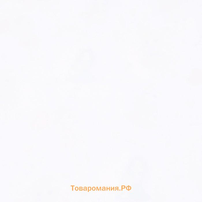 Бумага упаковочная, глянцевая Princess, 60×90 см