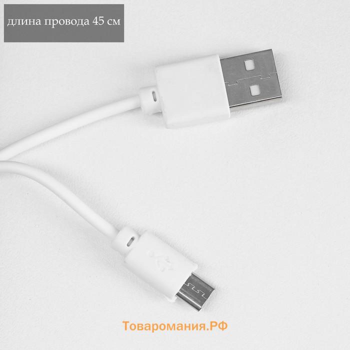 Настольная лампа с фоторамкой, зеркалом "Жираф" LED 3Вт USB RGB белый 17х8х30 см RISALUX