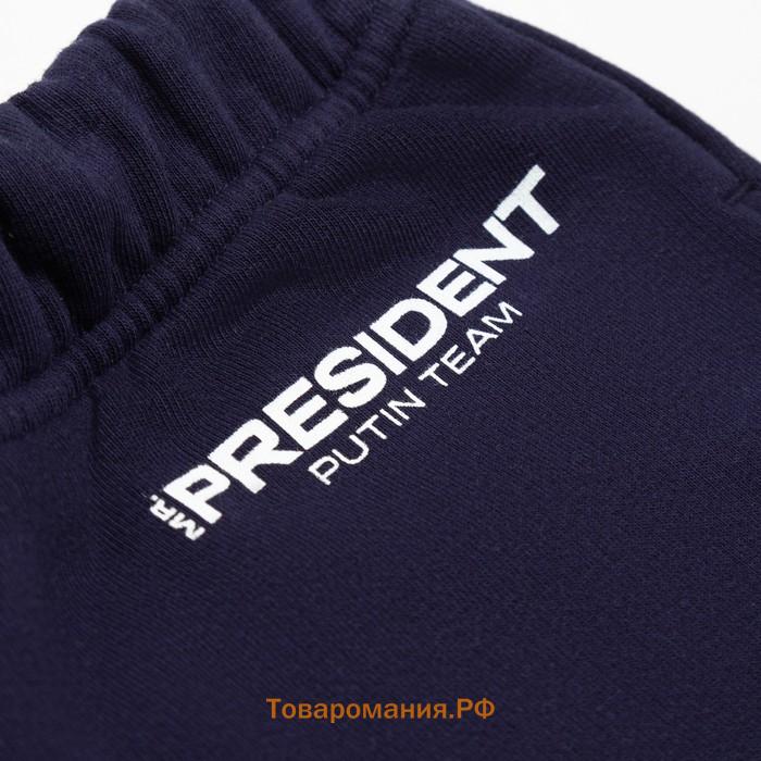 Брюки President Russian Sport, размер М, цвет синий