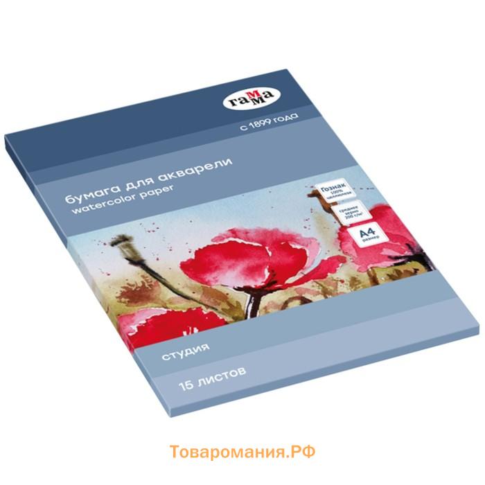 Бумага для акварели в папке А4, 15 листов, Гамма "Студия", 200 г/м2, среднее зерно