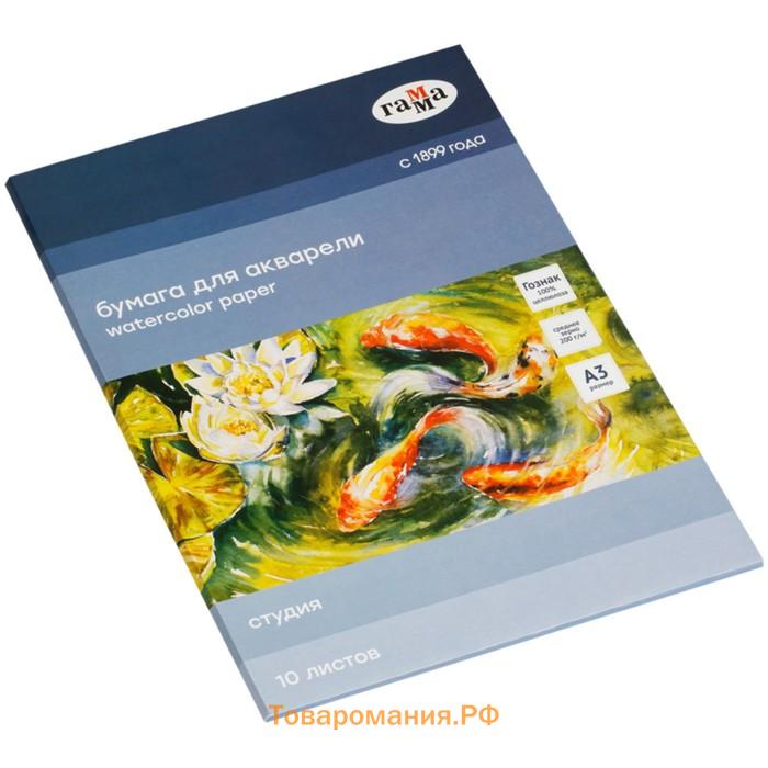Бумага для акварели в папке А3, 10 листов, Гамма "Студия", 200 г/м2, среднее зерно