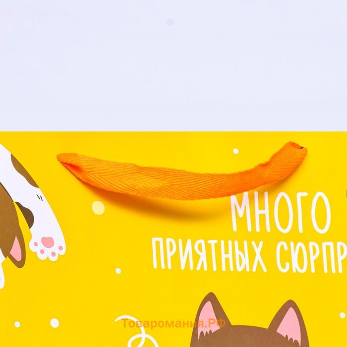 Пакет для торта и коробок, с широким дном «Подарки», 40×40×40 см