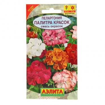 Семена комнатных цветов Пеларгония "Палитра красок", 4 шт.