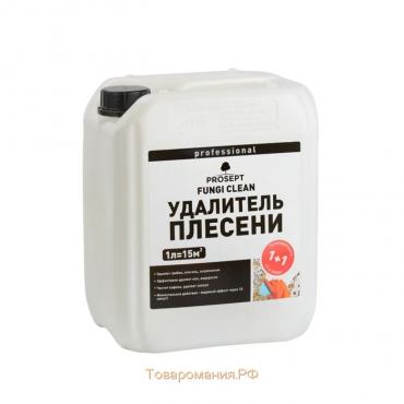 Удалитель плесени Prosept Fungi Clean, концентрат 1:1, 5 л