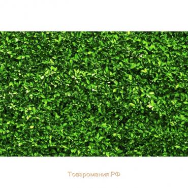 Фотобаннер, 250 × 150 см, с фотопечатью, люверсы шаг 1 м, «Зелёная изгородь», Greengo