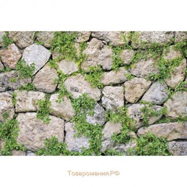 Фотобаннер, 300 × 200 см, с фотопечатью, люверсы шаг 1 м, «Каменная стена», Greengo