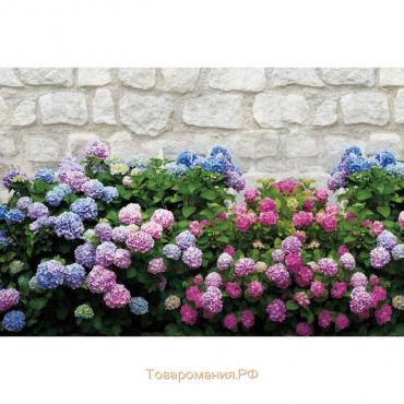 Фотобаннер, 250 × 150 см, с фотопечатью, люверсы шаг 1 м, «Цветы», Greengo