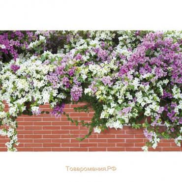 Фотобаннер, 250 × 200 см, с фотопечатью, люверсы шаг 1 м, «Весенние цветы», Greengo