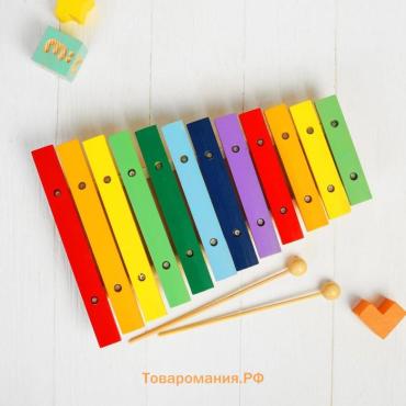 Музыкальная игрушка «Ксилофон», 12 тонов, 2 палочки