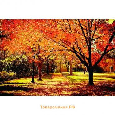 Фотобаннер, 300 × 200 см, с фотопечатью, люверсы шаг 1 м, «Осенняя аллея», Greengo