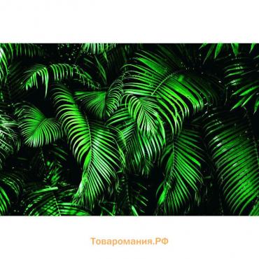 Фотобаннер, 250 × 200 см, с фотопечатью, люверсы шаг 1 м, «Зелёные листья», Greengo