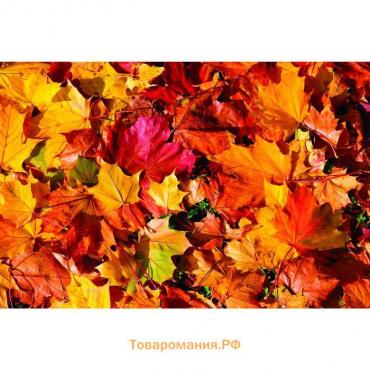 Фотобаннер, 250 × 200 см, с фотопечатью, люверсы шаг 1 м, «Осенние листья 1», Greengo