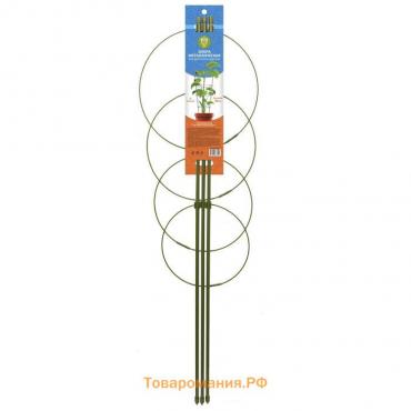 Опора для растений, 4 кольца, h = 90 см, d = 26-24-22-20 см, металл