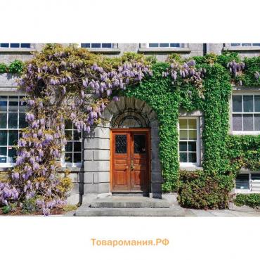 Фотобаннер, 300 × 200 см, с фотопечатью, люверсы шаг 1 м, «Фасад в цветах», Greengo