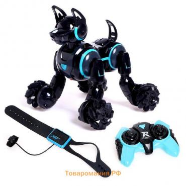 Робот собака Stunt, на пульте управления, интерактивный: звук, свет, на аккумуляторе, чёрный